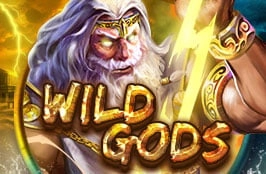 Wild Gods