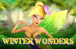 Winter Wonders